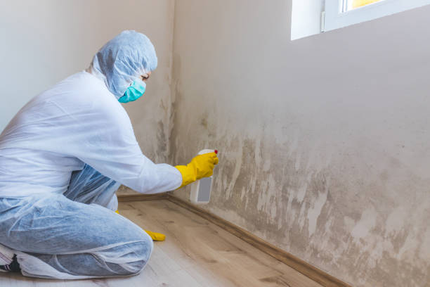 Bathroom Mold Removal assessment in Richboro bathroom