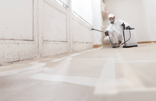 Black mold remediation team in Richboro